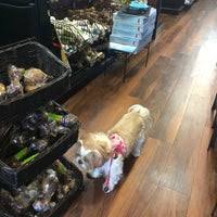 Do you live in hoboken, nj with a dog or cat? Pet Valu Pet Store In Bayonne
