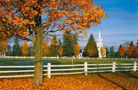 In winter, many people also head to black. New England Fall Foliage Guide Fodors Travel Guide