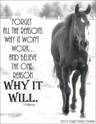 Pin By Brittany Snow On Everywhere Are Signs Horse Quotes Inspirational Horse Quotes Horse Riding Quotes