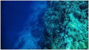 We did not find results for: Urutan 5 Laut Terdalam Di Dunia Ada Yang Lokasinya Dekat Dengan Indonesia Tribun Travel