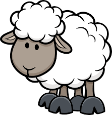 PNG OVEJA | Sheep cartoon, Sheep illustration, Cute sheep