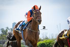 Ballado's Beach esperó y se hizo de Grupo 1 La defensora del stud Las  Monjitas se llevó el Gran Premio Gilberto Lerena (G1) al derrotar por un  largo y medio a Hawaiian
