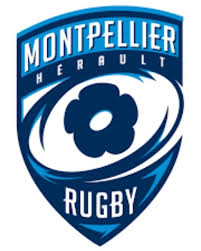 Berserker by @grvs.design follow us @logoplace for daily logo design inspirations. Montpellier Herault Rugby Altrad Stadium Montpellier Rugby Logo Rugby