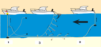 Peche A La Palangre En Bateau Peche Bateau Peche En Mer