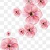 3d animated gif animated clipart flowers gif beautiful flowers dark flowers colorful flowers gif pictures pretty pictures christmas cartoon characters. 1