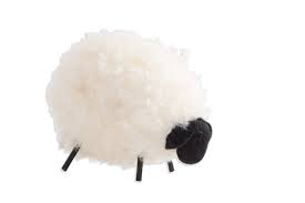 Valais blacknose sheep scotland, tomintoul. K K Interiors 5 Inch Wooly Black Faced Sheep White Buy Online In Qatar At Qatar Desertcart Com Productid 125572976