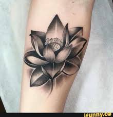 Es un tatuaje bastante colorido y pez koi en tonos vivos acompañado de una bella flor de loto rosa. 250 Ideas De Pez Koi S Y Lotu S Pez Koi Koi Tatuaje Pez Koi