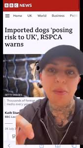 Some thoughts about catching and selling free living dogs as pets , Do you  live with a former street dog? , What are your thoughts?? , #StreetDog  #FreeLivingDog #ForeignRescue #RetailRescue