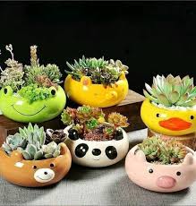 If felxible delivery is ok with you, select this option and then in the date selection window below, select the range of dates. 390 Decoration Flower Composition Plants Ideas In 2021 Plants Flower Arrangements Beautiful Flowers