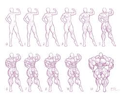 Size Chart 5 Muscle By Moxydoxy In 2019 Girl Anatomy