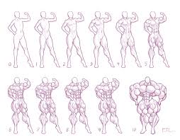 Size Chart 5 Muscle By Moxydoxy In 2019 Girl Anatomy
