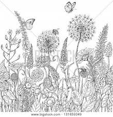 A huge favorite for our monarchs! Hand Drawn Seamless Vector Photo Free Trial Bigstock