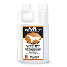 Doing this on a consistent basis prevents the fabrics from developing any unwelcome smells. Thornell Dog Odor Off Carpet Concentrate 16 Oz 005thl 30116 At Tractor Supply Co