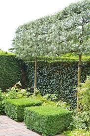 De Tuinen Van Appeltern Tuin Tuin Ideeen Tuin Inspiratie