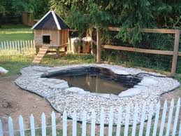 Here are 37 of the best free diy duck house plans we've. 43 Free Diy Duck Coop Plans Duck Houses Plans For Enthusiasts