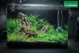 Falsteristic A 35 L Dennerle Scaper S Tank Nano Aquarium Aquascape Nature Aquarium