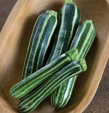 Safari F1 Squash Seed Johnny S Selected Seeds Seeds Vegetables Photography Squash Seeds