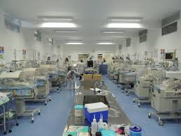 Com projeto inovador, Hospital Universitário reduz infecções em UTI  Neonatal | Notícias