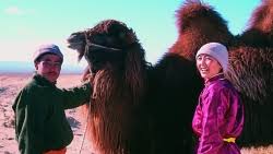 * the story of the weeping camel *. The Story Of The Weeping Camel