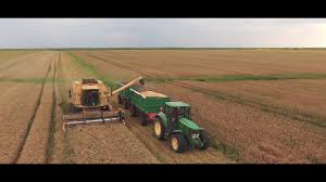 9 decembrie 1980, roșiorii de vede, teleorman, românia) este un fotomodel și vedetă de televiziune din românia.este cunoscută pentru participarea la mai multe emisiuni concurs transmise de pro tv și pentru prezentarea emisiunilor chefi la cuțite și asia express difuzate pe postul antena 1 Revista Ferma Recoltatul Graului 2019 La Tormac Facebook