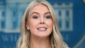 Opposition leader demands action over bullying claims and scrutiny into  planning and licensing committees