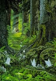 Forest Fairys Faeries Forest Fairy Mystical Forest