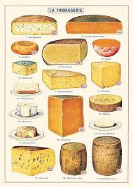 Amazon Com Cavallini Decorative Paper Cheese 20 X28 Sheet Food Illustrations Food Cheese
