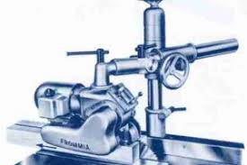 Image result for Frommia