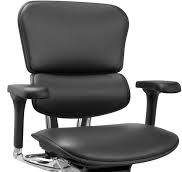 Ergohuman Eurotech LE10ERGLO Executive Mid Back Leather Swivel Office  Chair, Tilt Tension Control, Tilt Lock, Back Angle, Back Height, Synchro  Tilt, ...