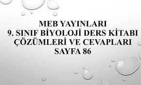 İskelet sisteminin diziliş ve duruşuna verilen ad. Meb Yayinlari 9 Sinif Biyoloji Ders Kitabi Cozumleri Ve Cevaplari Sayfa 86 Soru Cozumleri