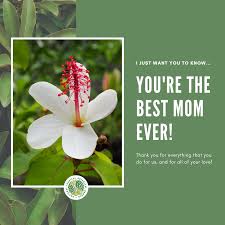 Switch up recipients or send to one lucky person. Download A Virtual Mother S Day Bouquet Ntbg News