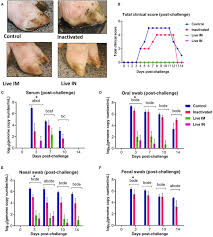 Frontiers A Novel Live Attenuated Vaccine Candidate