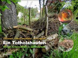 Im garten leben zahlreiche wildtiere. Totholzhaufen Im Garten Liga Vogelschutz