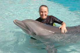 Dolphin Cove Bahamas Dolphins Places Ive Been Cove