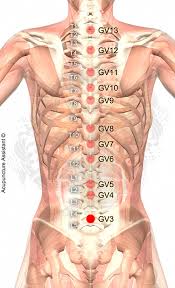 Point Localization Below L4 Tcm Actions Strengthens The Lower Back And Legs Tonifies Yang Indications Low Back Acupuncture Points Acupuncture Acupressure