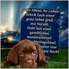 Guten Abend Ihr Lieben Schick Euch Einen Ganz Lieben Gruss Von Herzen Habt Nun Einen Gemutlichen Wunders Liebe Gute Nacht Grusse Gute Nacht Grusse Gute Nacht