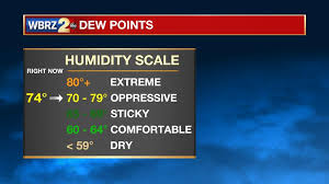 Why Are Weathercasters So Hung Up On Dew Points