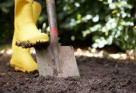 Check spelling or type a new query. How To Create A Simple Weed Free Low Maintenance Vegetable Garden