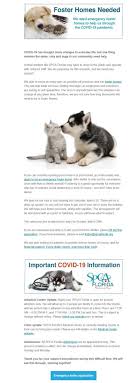 Adopt a pet today at a petsmart adoption ways to adopt. Suggestions For Animal Shelters Fundraising During Covid 19 Qgiv Blog