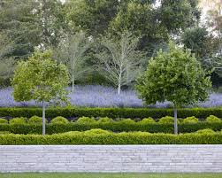 Designer Profile: Andrea Cochran