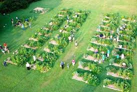 Turn it into a place where people want to hang. How To Start A Community Garden Yardyum Garden Plot Rentals