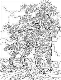 Pin On En Noir Blanc Bestiaire