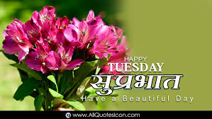 Phir ummedon bhari subah sooraj ko sath laai hai, hamari dosti ka ye asar to dekho, ki hawayein bhi aapko good morning kahne aayi hai… 🙏🙏 hindi shayari collection. Top Happy Tuesday Good Morning Quotes In Hindi Images Hd Wallpapers Best Life Inspiration Quotes In Hindi Whatsapp Pictures Online Good Morning Hindi Shayari Free Download Www Allquotesicon Com Telugu Quotes