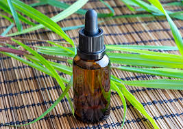 A rosy, green-floral oil used in skin-care aromatics and elegant fragrance accords.