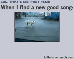 Totally Me Lol Funny Cat Memes Seriously Funny Funny Vines