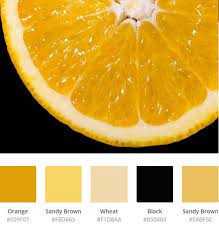 Pin By Makeup By Pablo On Pastel Color Palette Vintage Color Scheme Vintage Color Schemes Pastel Colour Palette