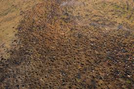 Despite the introduction of minecraft's newest ore, netherite, mining for diamonds is still an indispensable part of the progression of survival. Jzrhp1ycqa9fkm