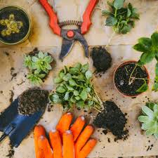 News Flash • Williamson Library, TN • CivicEngage