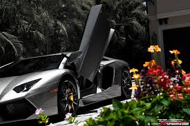 Image result for Grigio Antares 2011 147