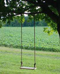 Diy Tree Swing Tree Swings Diy Backyard Diy Projects Diy Backyard